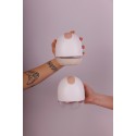 Perifit Pump, the new-generation portable electric breast pump